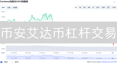 币安艾达币杠杆交易：机遇与风险并存？专家解读与避坑指南！
