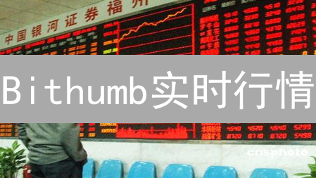 Bithumb实时行情：一场信息获取的竞赛？新手也能轻松掌握！