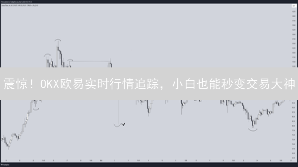 震惊！OKX欧易实时行情追踪，小白也能秒变交易大神？