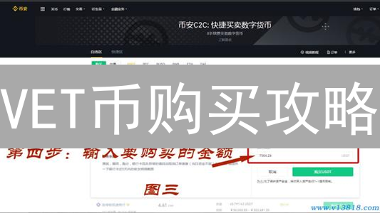 VET币购买攻略：币安最新教程与交易避坑指南
